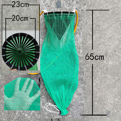 20cm inside
